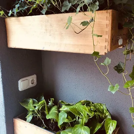 Wieler Wellness Huuske With Private Sauna *